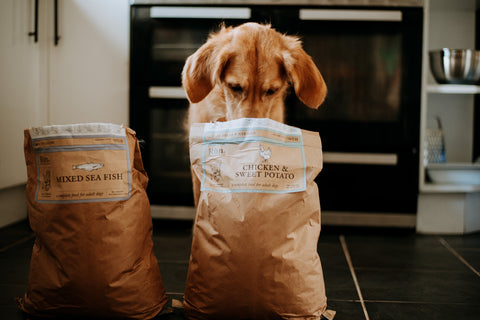 Rùn Cold-pressed Dog Food