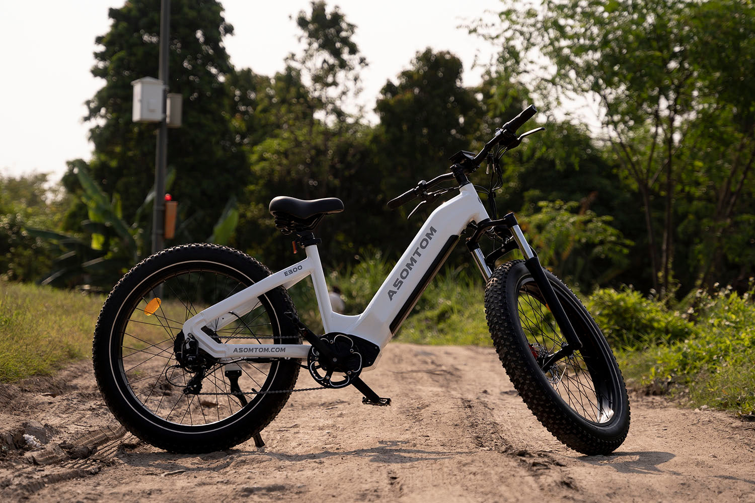 Asomtom Electric Bike