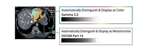 Display Both Monochrome and Color - EIZO RadiForce RX1270 12MP color monitor available at ERI