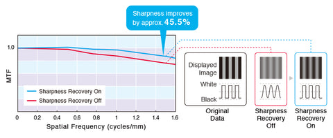 Achieve Clarity True to the Source Data - EIZO RadiForce GX560 5MP Monochrome Monitor available at ERI