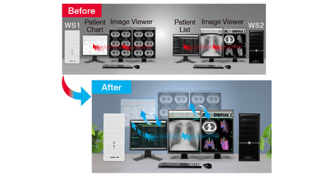 Barrier-Free Workstyle - EIZO RadiForce RX360 3MP LCD LED Color Display available at ERI