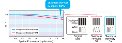 Achieve Clarity True to the Source Data - EIZO RX560 5MP LCD Color Display available at ERI