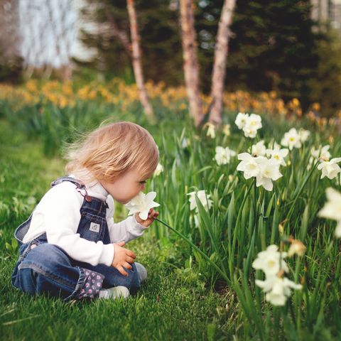 Girl smelling daffodils in a nature scavenger hunt