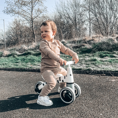 Toddler riding Zebra Diditrike Christmas gift