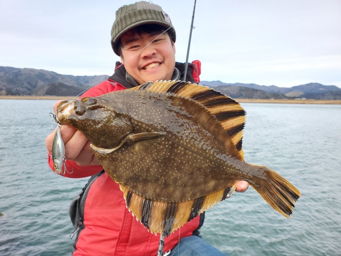 この冬を熱くさせたヌマガレイ釣り 東北地方 Brecol