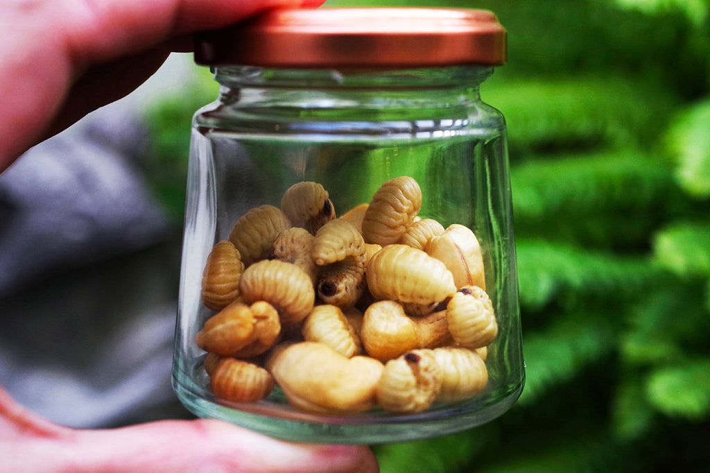 外来昆虫フェモラータオオモモブトハムシを食べてみる。