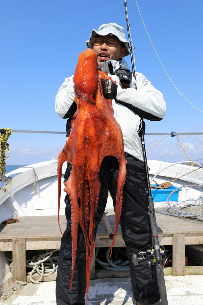 ミズダコを釣って食べる。秋田県の巨大ミズダコ