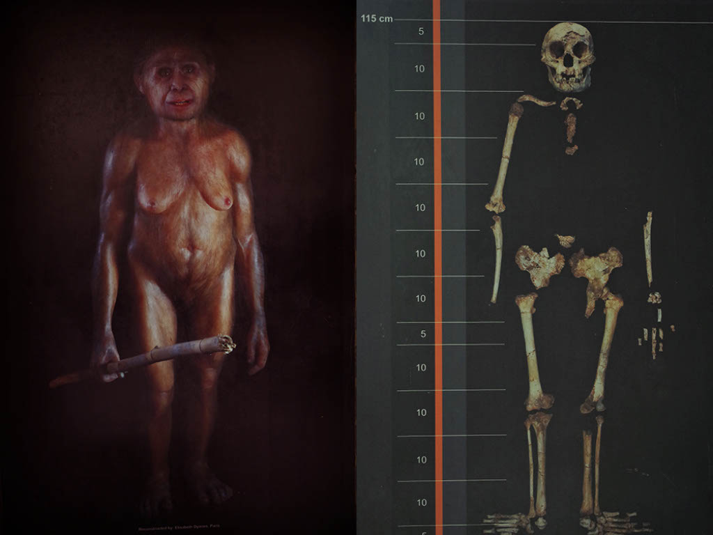 ホビット族の原型・フローレス原人の痕跡をインドネシア・フローレス島に追う