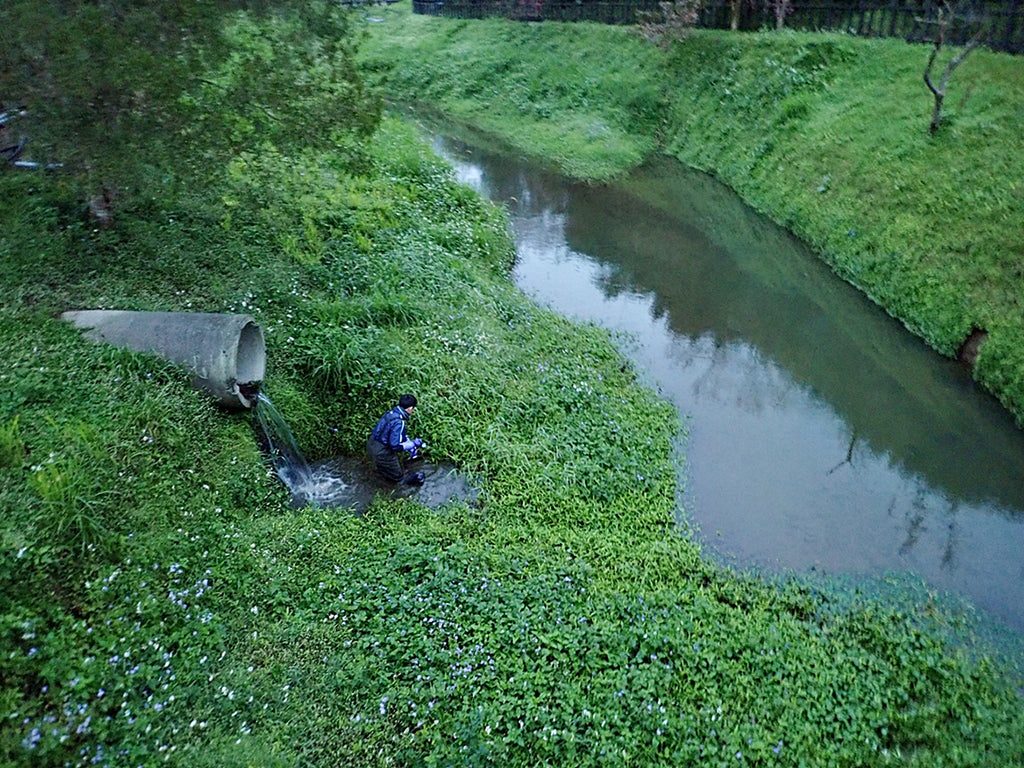 台湾 ガサガサ 釣り 採集