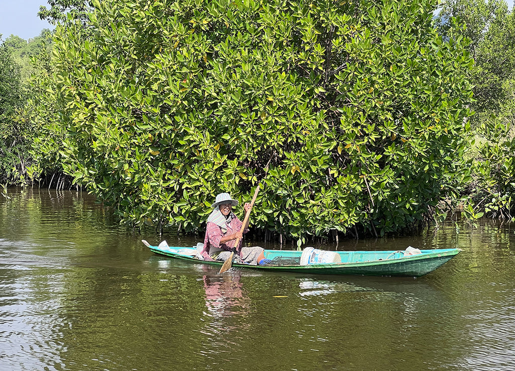 マングローブ林を抜ける漁師
