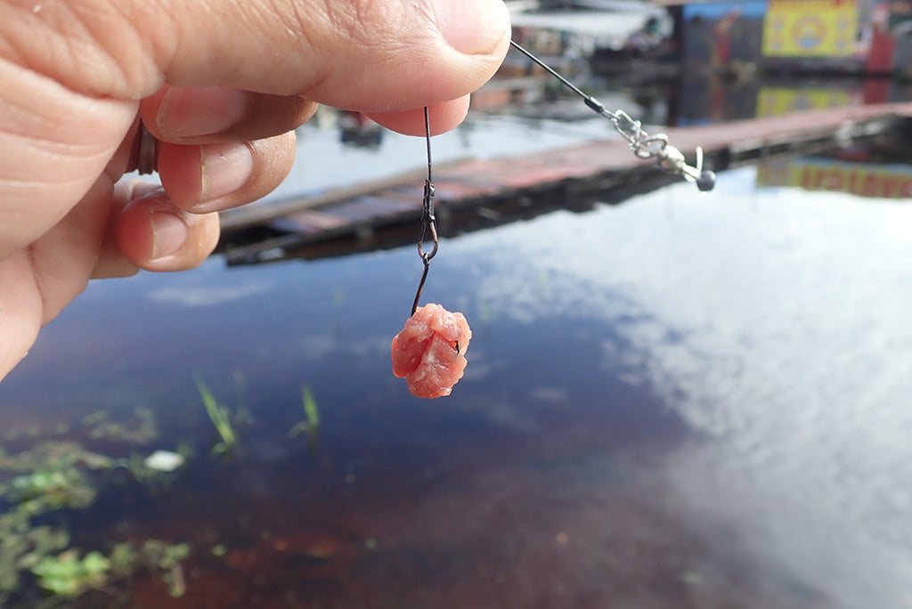 マナウス ピラニア釣り 仕掛け 牛肉 餌