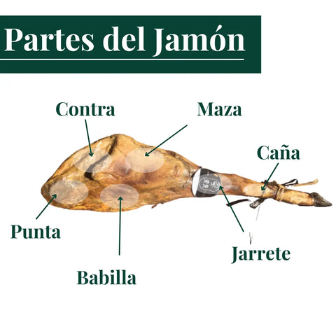 partes del jamón