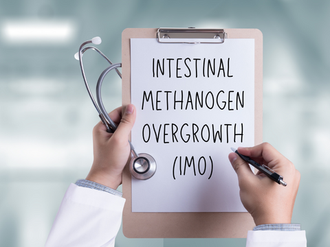 What is intestinal methanogen overgrowth (IMO)