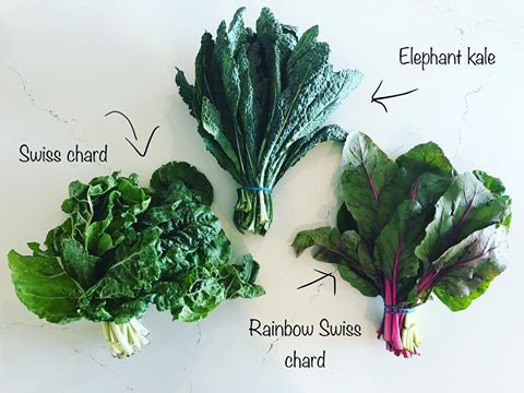 Kale, Swiss Chard and Spinach