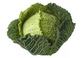 cabbage