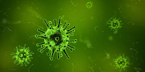 If you're wondering when flu season typically occurs, it's usually in the autumn and winter months, although the flu virus can still spread throughout the year. The season generally begins around October, with the highest periods of infection occurring in December and February, and can continue until late May. There are various theories as to why the flu season is more prevalent during these times. One common hypothesis is that people tend to spend more time indoors during the colder months, which makes it easier for the virus to spread in confined spaces where individuals are sharing the same air. So, it's always best to take precautions and practice good hygiene to avoid contracting and spreading the flu virus.