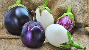 eggplant