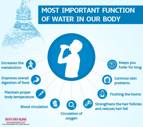 functions of water in body