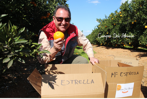 Eduardo sostiene una naranja recién cosechada en su campo