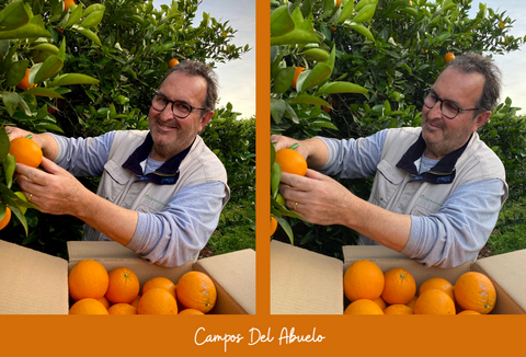 Eduardo, experimentado agricultor en plena recolección de naranjas