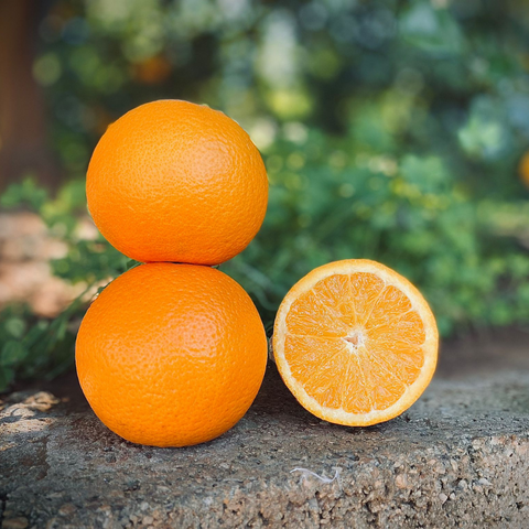 Salustiana Orange - Campos del Abuelo