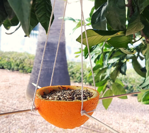 comedero de pájaros con cascara de naranja