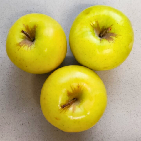manzana Golden Ecológica