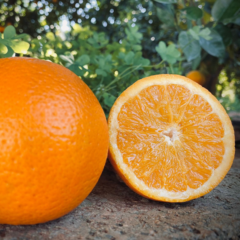 Orange valencienne