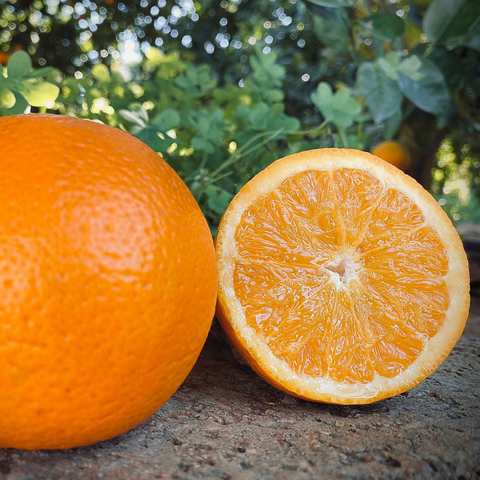 Naranja valenciana