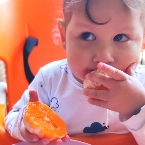 bebé comiendo naranja mandarina