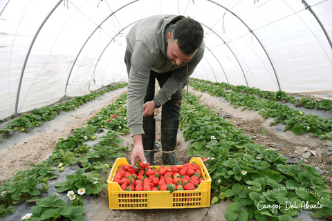 Agricultor