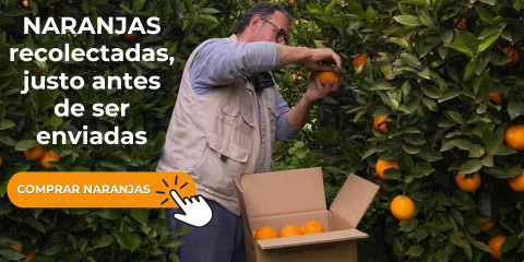 COMPRAR NARANJAS ONLINE