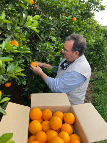 farmer-oranges-fruit-seasonal-fruit