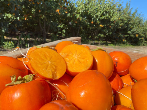 types-persimmons-variety-bright-red