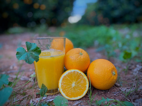 100% natural orange juice freshly squeezed from the tree