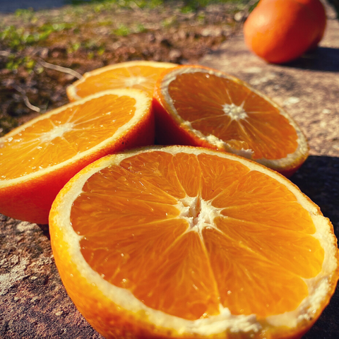 salustiana orange