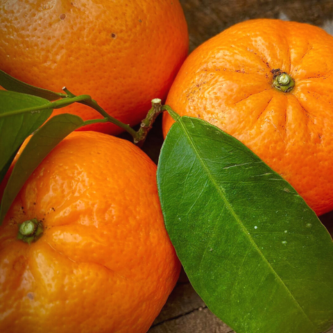 mandarina orri -campos del abuelo