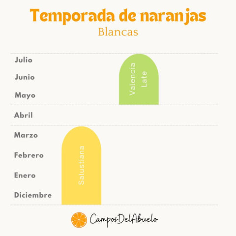 Temporada de naranjas blancas- Campos del Abuelo Valencia