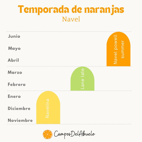 Temporada de naranjas navel