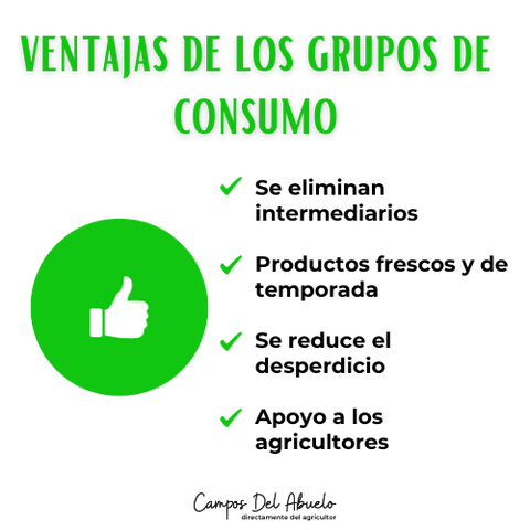 ventajas de un grupo de consumo