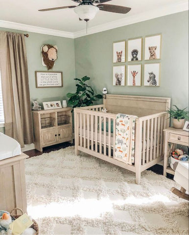 Zoo Inspired Themed Baby Nursery Room
