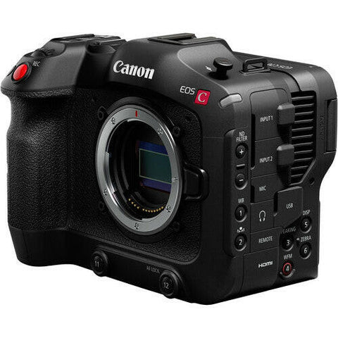 Canon EOS R6 Mark II Mirrorless Camera w/ RF 70-200mm f/2.8L IS USM Le –  DealsAllYearDay