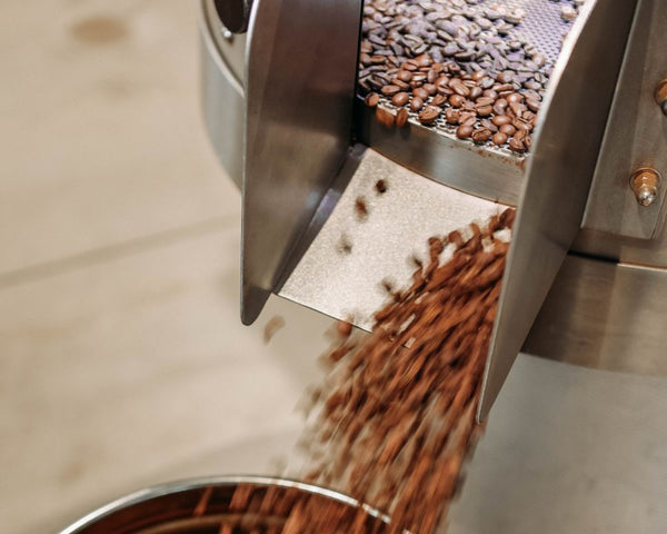 Coffee beans coming out of a coffee roasting drum in Perth CBD at Offshoot Coffee