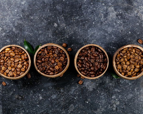 A range of coffee beans roasted to different profiles sitting in cups for you to see