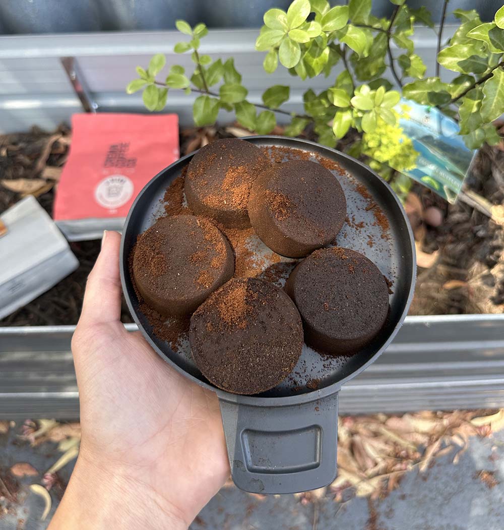 Coffee grounds for garden