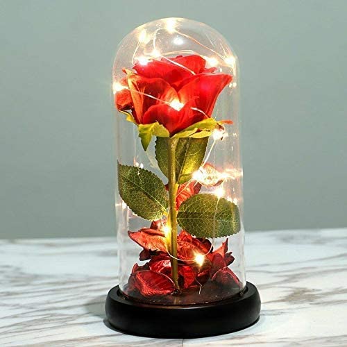 Rosa eterna cupula de cristal con luz LED 27cm – Chinatown ??