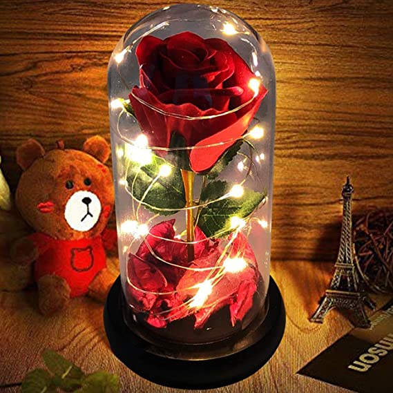Rosa eterna cupula de cristal con luz LED 27cm – Chinatown ??