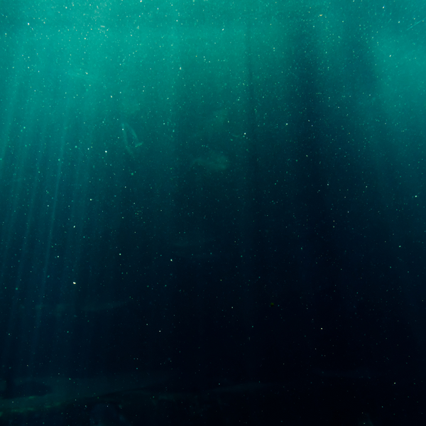 turquoise water under the sea with sunlight shining through