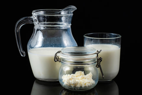 probiotic fermenting cow's milk