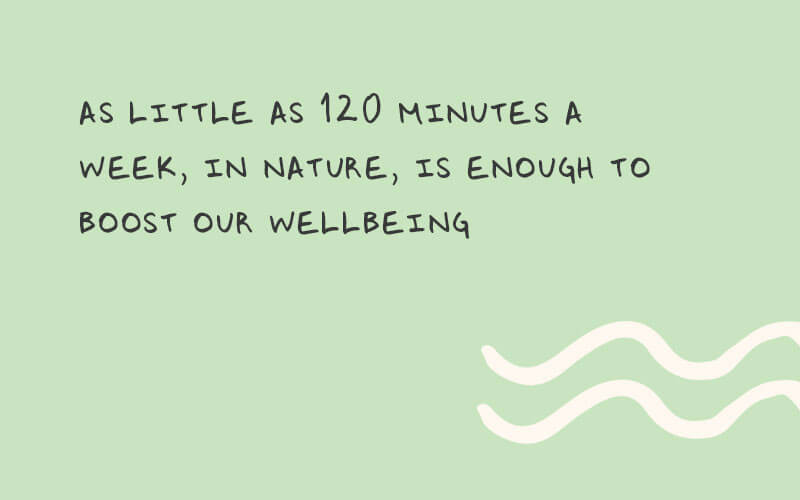 An image with text that reads... "as little as 120 minutes a week, in nature, is enough to boost our wellbeing".